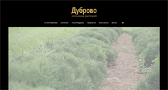 Desktop Screenshot of dubrovo.org
